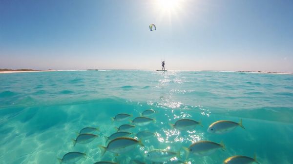 Top 5 raisons de s'inscrire dans une école de kitesurf